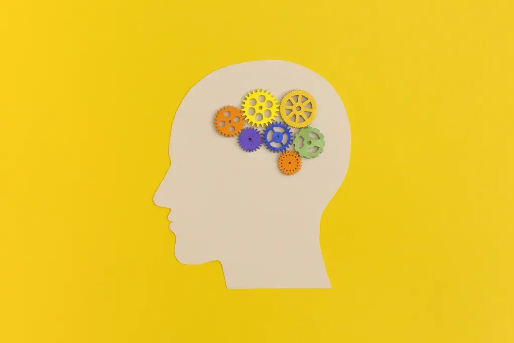 Neuropsicología de las Funciones Cognitivas